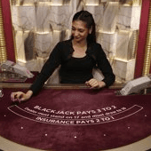Blackjack VIP 15 icon